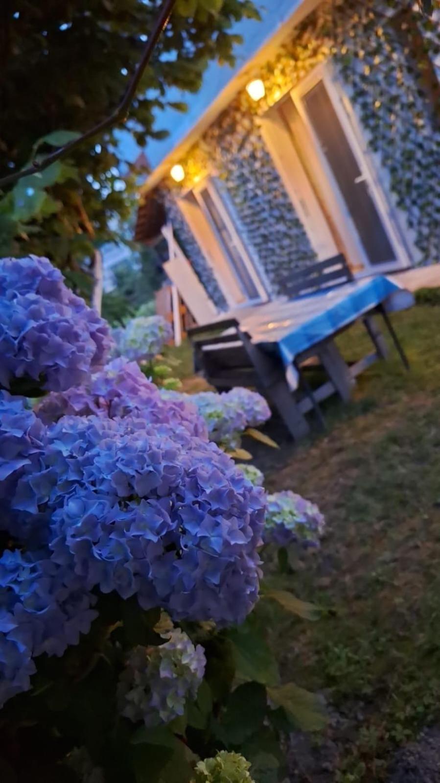 Yahya Rooms Ohrid Ngoại thất bức ảnh